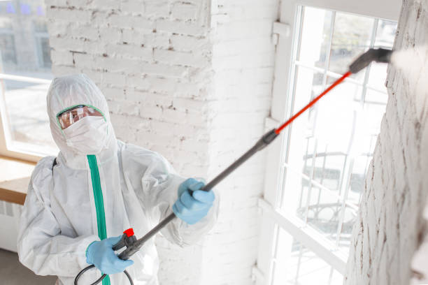 Best Asbestos and Lead Testing During Mold Inspection  in Peoria, AZ