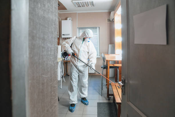 Best Residential Mold Inspection & Testing  in Peoria, AZ