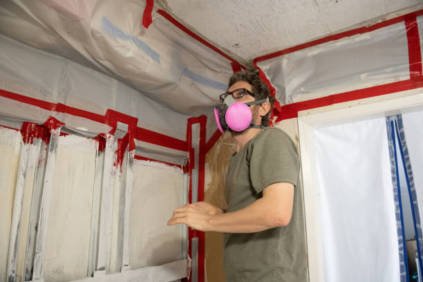 Best Commercial Mold Inspection  in Peoria, AZ