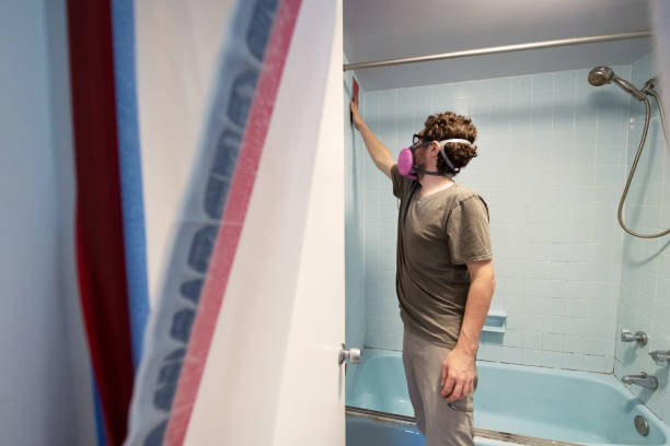 Best Mold Removal for HVAC Installations  in Peoria, AZ