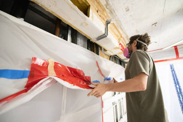 Best Mold Documentation for Insurance Claims  in Peoria, AZ