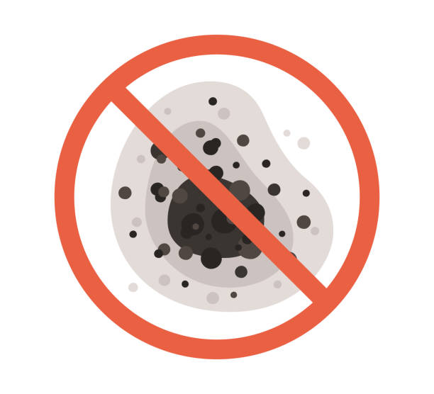 Best Mold Odor Removal Services  in Peoria, AZ