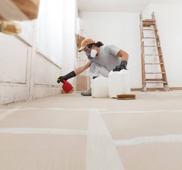 Asbestos and Lead Testing During Mold Inspection in Peoria, AZ